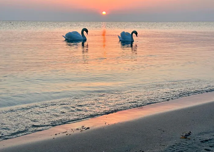 Am بيت للعطل