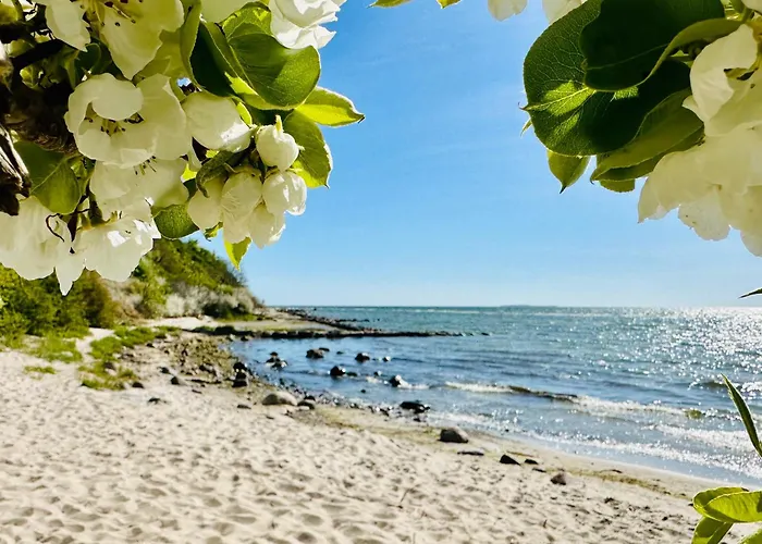 بيت للعطل Am