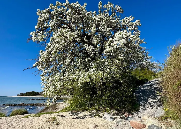 Am بيت للعطل *